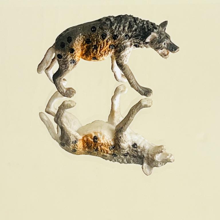 فیگور حیوانات وحشی مینی