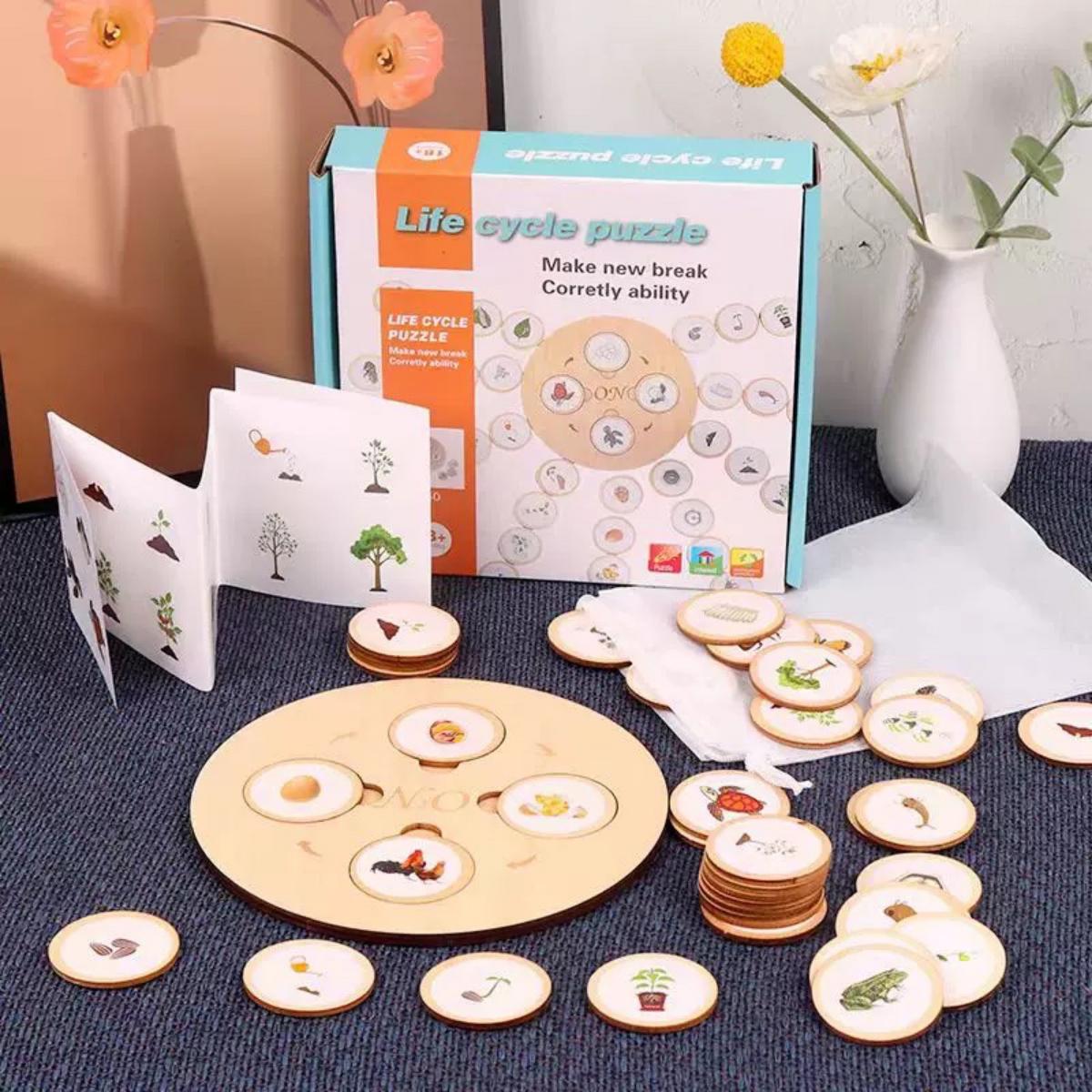 جورچین آموزشی چرخه زندگی - Image 3