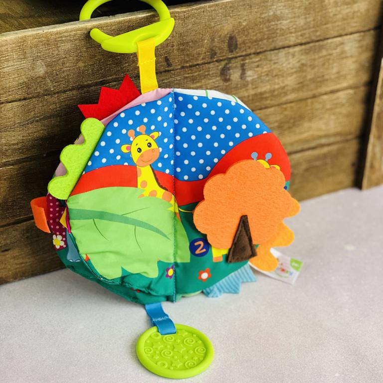 کتاب پارچه ای دالی موشه