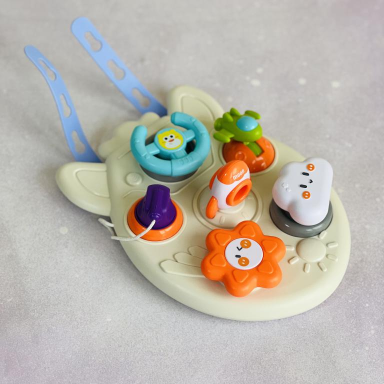 بیزی برد هواپیما